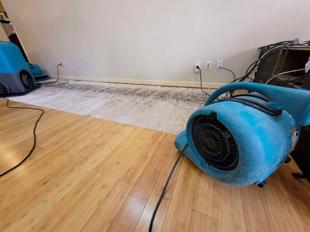 Professional Basement Flood Cleanup technician working in Millington, TN